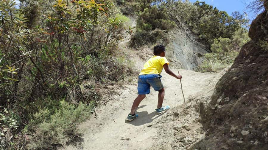 Mt Longonot National park Day Hike - Why Mt Longonot makes a strong Nairobi day trip