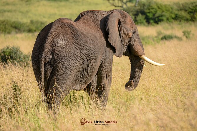 Multi Day Masai Mara Lake Nakuru Park Hellsgate Park Tour - Guides are a major part of the value