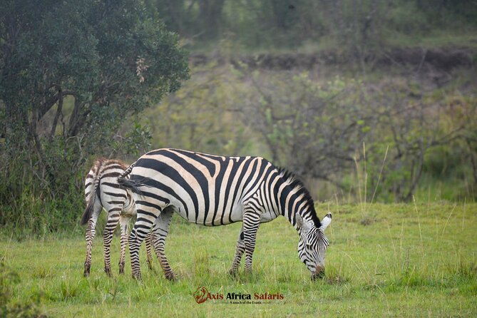Multi Day Masai Mara Lake Nakuru Park Hellsgate Park Tour - Day 1: The Great Rift Valley and first views of the Masai Mara
