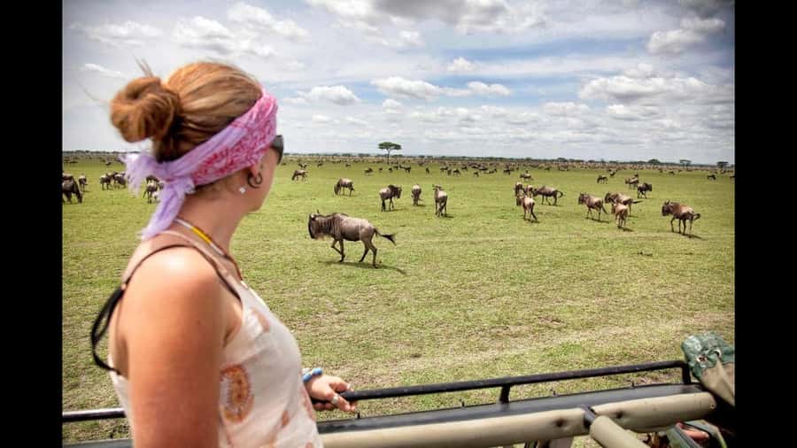 Nairobi: 3-Day Maasai Mara Group Tour with 4X4 Jeep Safari - Practical strengths and weak spots
