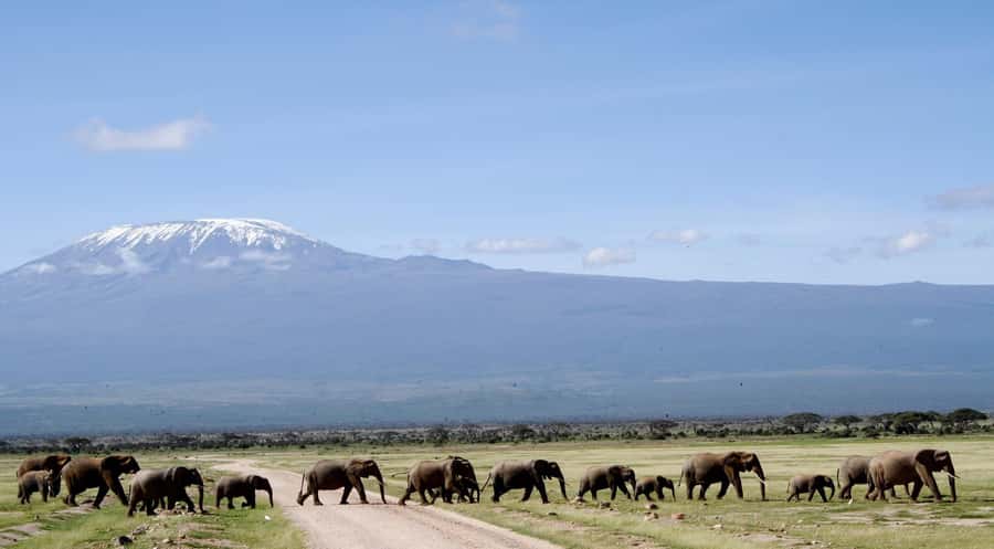 Nairobi: 4-Day Amboseli, Tsavo West & East Guided Safari - Five things to know before booking