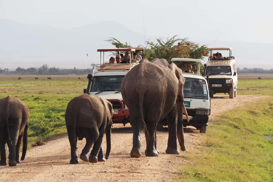 Nairobi: 4-Day Amboseli, Tsavo West & East Guided Safari - The best Kilimanjaro views come early