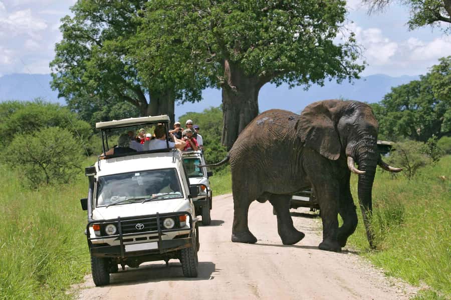 Nairobi: 4-Day Maasai Mara & Lake Nakuru Camping Safari - Why this four-day route works