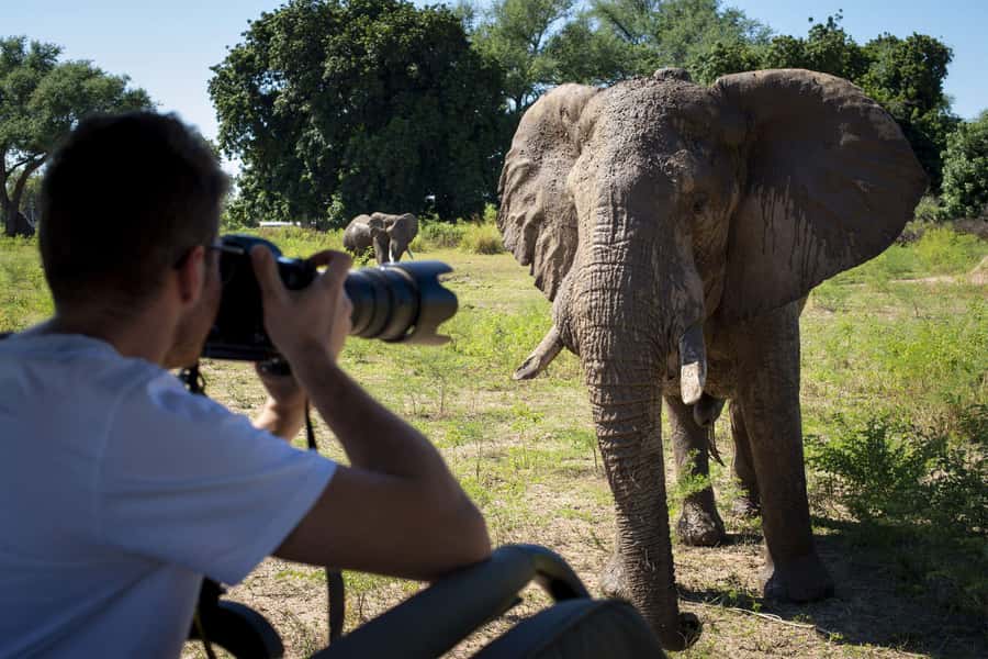 Nairobi: 4-Day Maasai Mara & Lake Nakuru Camping Safari - Day two: a full day beside the Mara River