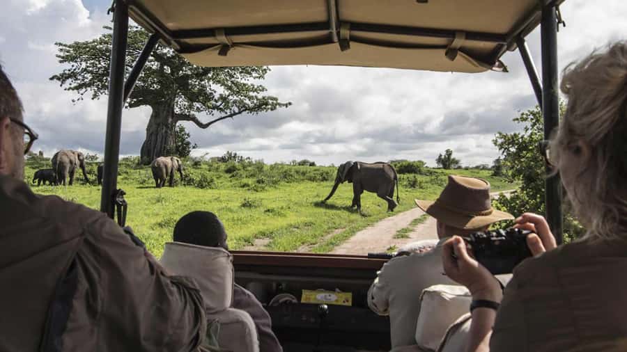 Nairobi: 4-Day Maasai Mara & Lake Nakuru Camping Safari - Wildlife expectations in Maasai Mara and Nakuru