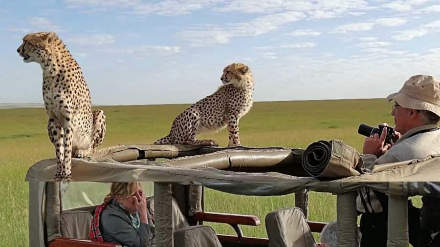 Nairobi: 4-Day Maasai Mara & Lake Nakuru Camping Safari - Food, camping, and comfort on a budget
