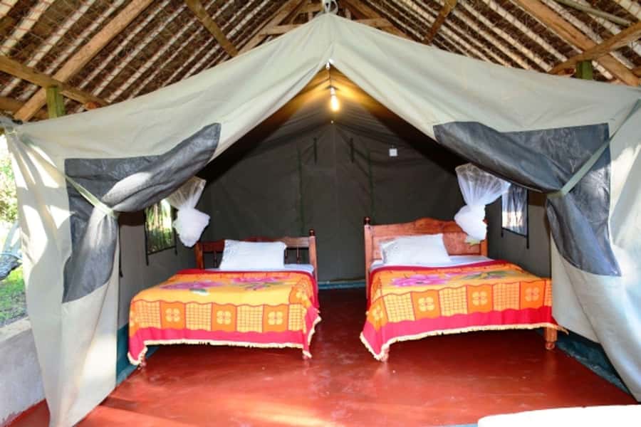 Nairobi: 4 Day Masai Mara and Lake Nakuru Camping Safari - Day four: White rhinos and Rothschild giraffes at Nakuru