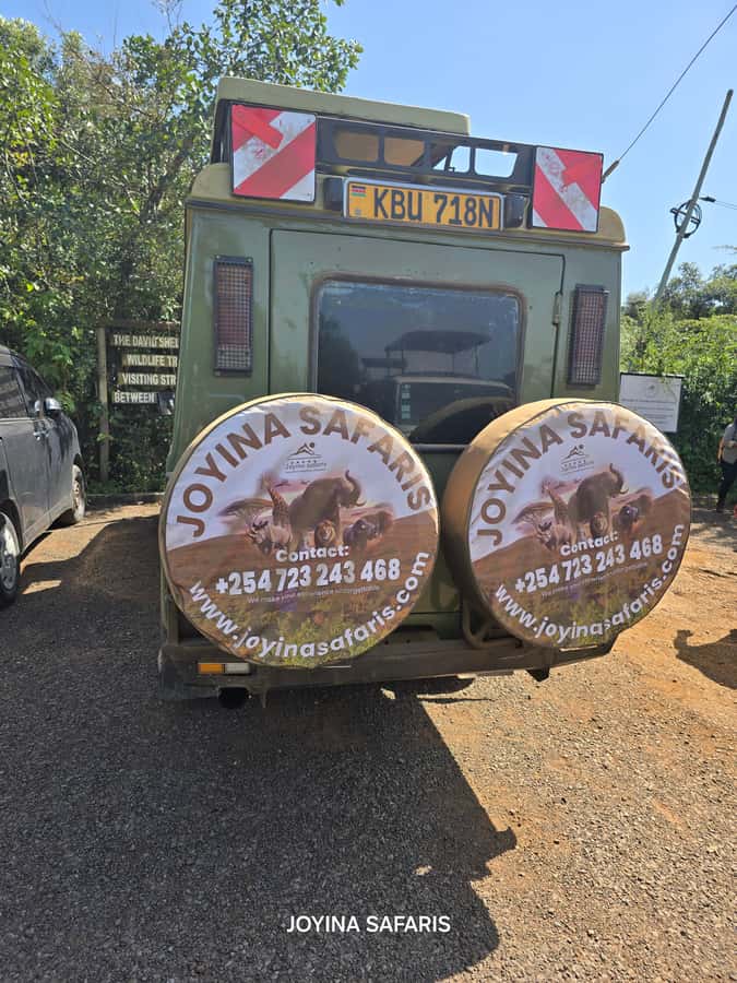 Nairobi: 4 Days Masai Mara & Lake Nakuru 4WD Camping Safari - Day 2: A full day among Mara lions, elephants, and big cats