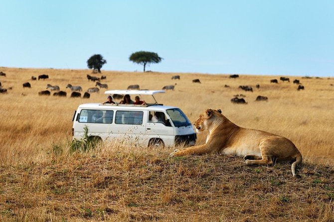 Nairobi Airport Layover Half Day Tour Nairobi National Park - Price, Park Fees, and What You Receive