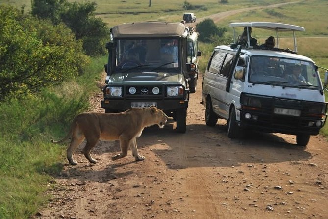 Nairobi Airport Layover Half Day Tour to Nairobi National Park - Inside the customized safari van