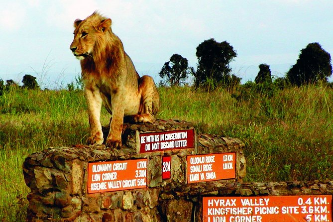 Nairobi Airport Layover Half Day Tour to Nairobi National Park - Price: what the $95 really buys you
