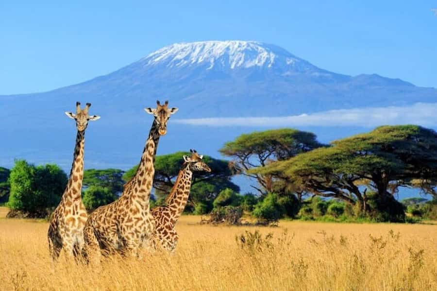 Nairobi: Amboseli National Park Day Trip - The Road From Nairobi Begins Before Breakfast
