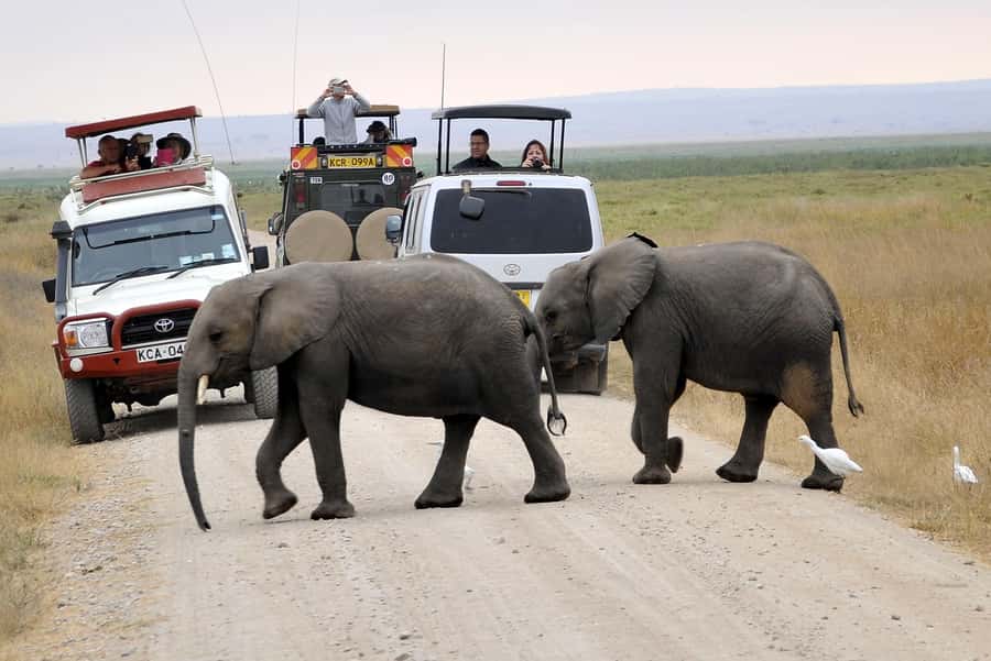 Nairobi: Amboseli National Park Tour & Maasai Village Visit - Why Amboseli works as a day trip from Nairobi