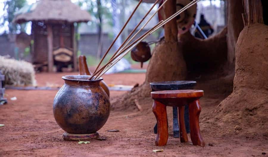 Nairobi Animal Orphanage, Safari Walk, Giraffe Ctr & Bomas - Who should book this six-hour private tour?