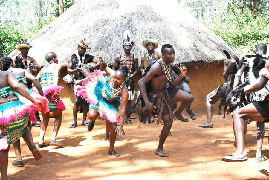 Nairobi Animal Orphanage, SafariWalk and Kenya Bomas Tour - Key points to know before booking