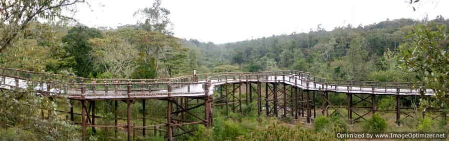 Nairobi Animal Orphanage, SafariWalk and Kenya Bomas Tour - How the full-day schedule feels