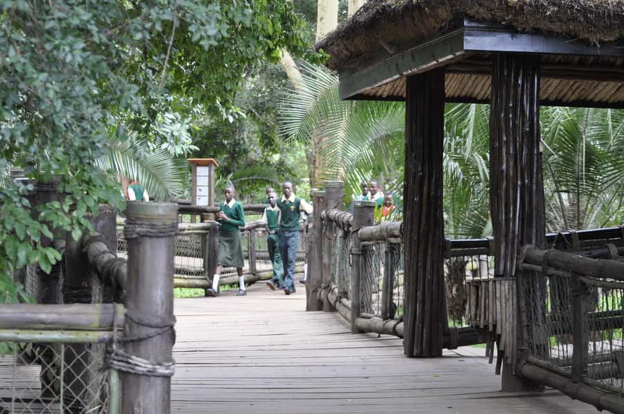 Nairobi Animal Orphanage, SafariWalk and Kenya Bomas Tour - Who should choose this Nairobi tour?