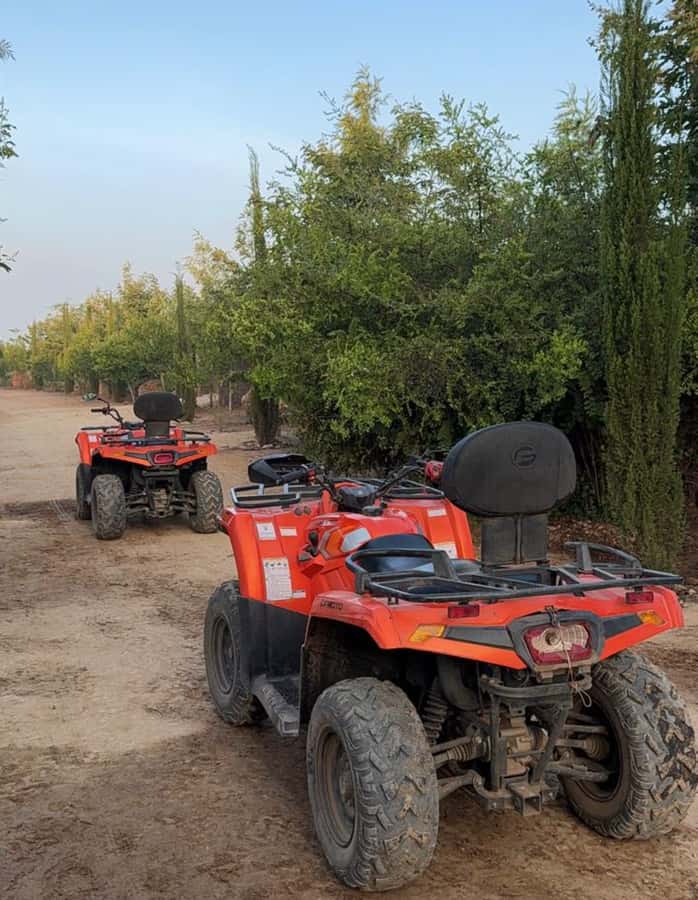 Nairobi: ATV/Quad Bike Wildlife Safari with Transfers & meal - Wildlife viewing from a lower seat
