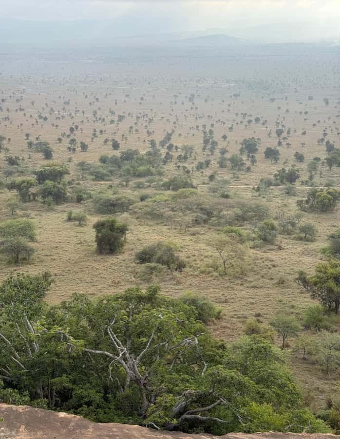 Nairobi: ATV/Quad Bike Wildlife Safari with Transfers & meal - Practical tips for a smoother ride