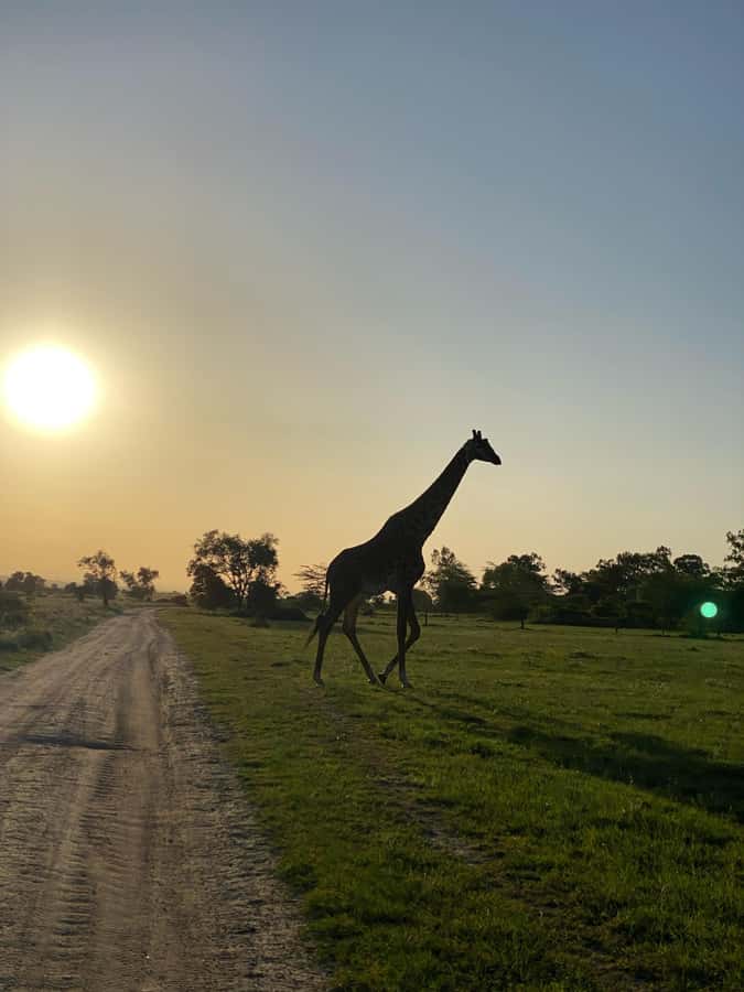 Nairobi: ATV/Quad Bike Wildlife Safari with Transfers & meal - Safety training before the engines start
