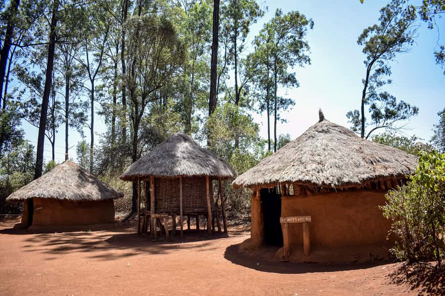 Nairobi City Tours - Key points to know before booking