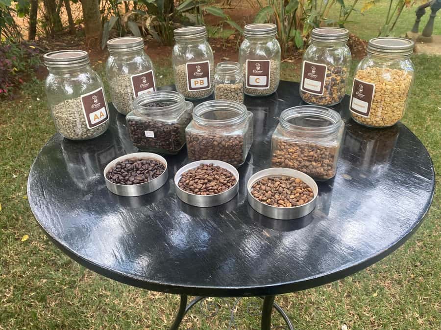 Nairobi: Coffee Factory and Farm Tour with Transfer - Key points to know before you book