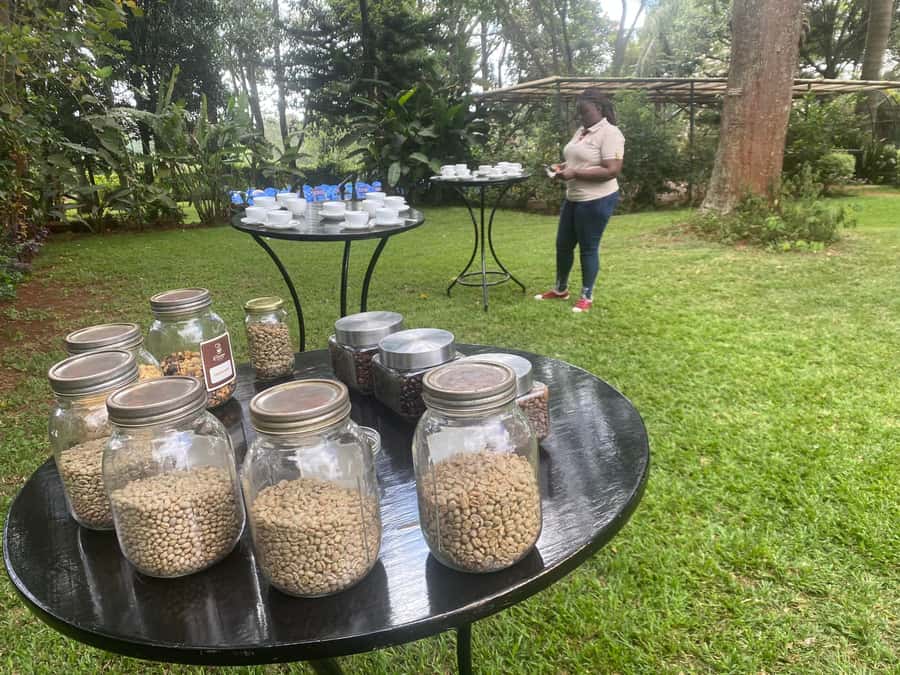 Nairobi: Coffee Factory and Farm Tour with Transfer - Fairview Coffee Estate and the Riara River