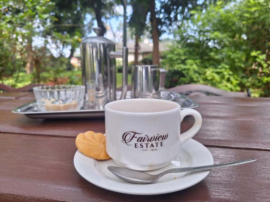 Nairobi Coffee Farm and Factory Tour - Seeing how coffee becomes a finished product
