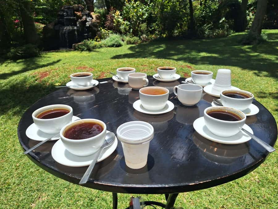 Nairobi Coffee Farm and Factory Tour - Songs add a welcome you will remember