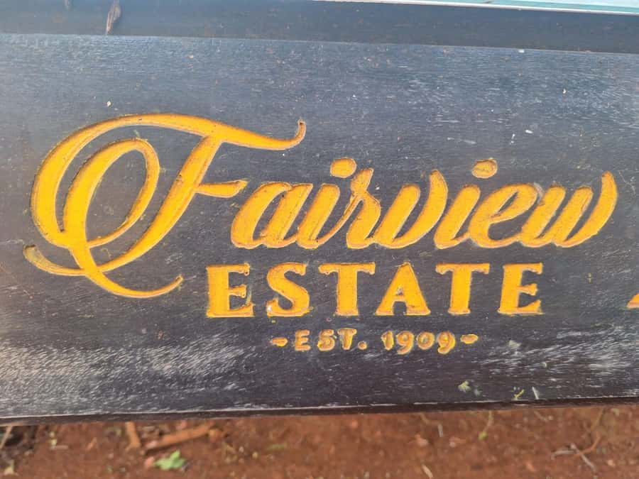 Nairobi Coffee Farm and Factory Tour - Who will enjoy this most?