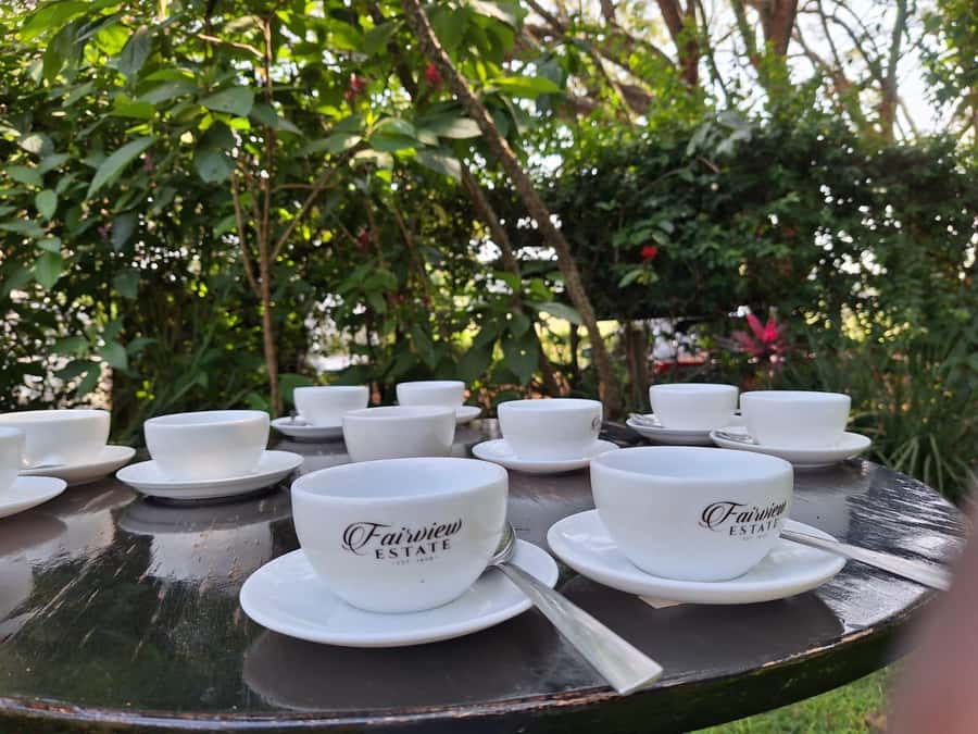 Nairobi: Coffee farm tour with pick up - What you are paying for at $36
