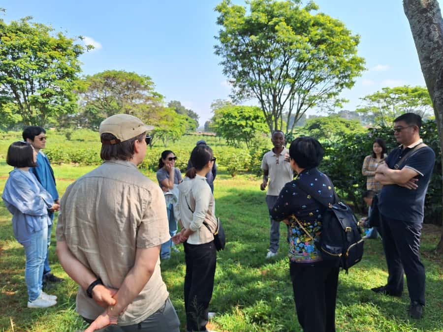 Nairobi: Coffee farm tour with pick up - Walking through the coffee fields