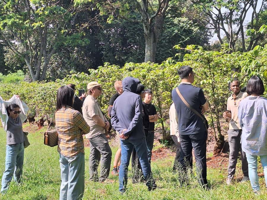 Nairobi: Coffee farm tour with pick up - Inside the processing center