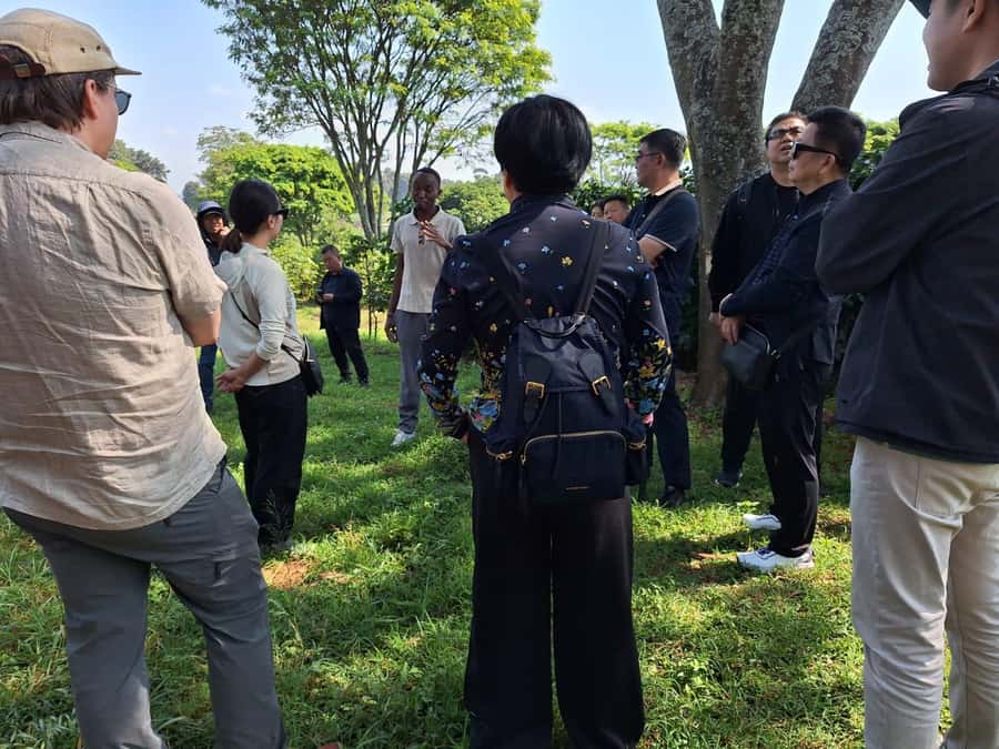 Nairobi: Coffee farm tour with pick up - A fresh cup on the Fairview patio