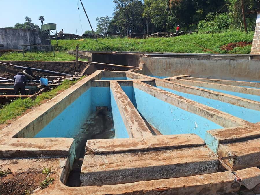 Nairobi: Coffee farm tour with pick up - Who will enjoy this coffee tour most