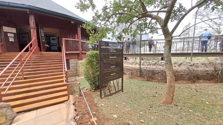Nairobi:David Sheldrick Elephant Orphanage & Giraffe Center - Two Nairobi conservation stops in half a day