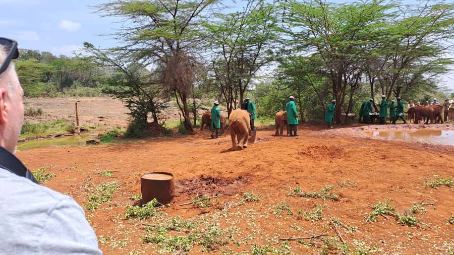 Nairobi:David Sheldrick Elephant Orphanage & Giraffe Center - Why the conservation message matters