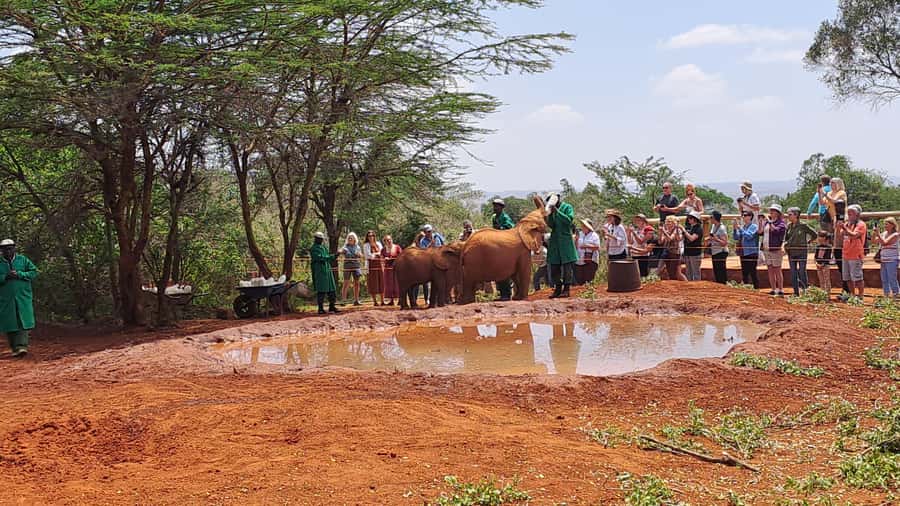 Nairobi:David Sheldrick Elephant Orphanage & Giraffe Center - What the $94 price includes