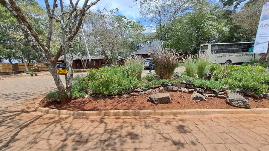 Nairobi:David Sheldrick Elephant Orphanage & Giraffe Center - How to plan the morning well