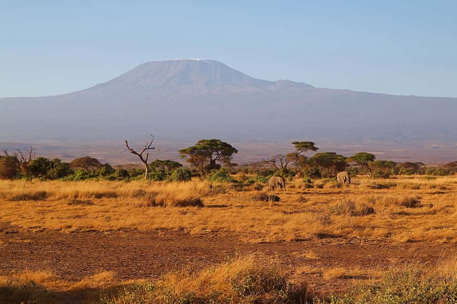 Nairobi: Day Tour to Amboseli National Park & Maasai Village - The return to Nairobi can stretch late