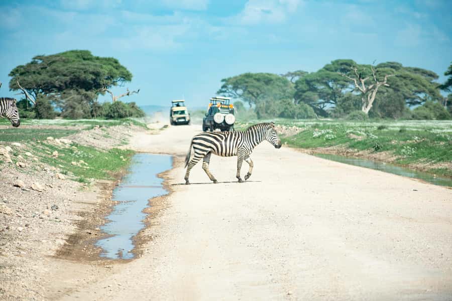 Nairobi: Day Tour to Amboseli National Park & Maasai Village - Vehicle, guide quality, and group comfort