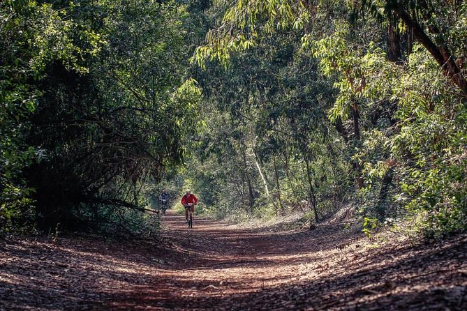 Nairobi Day Tour to Karura Forest Hike, Trail Bike & Nature Walk - Key points to know before booking
