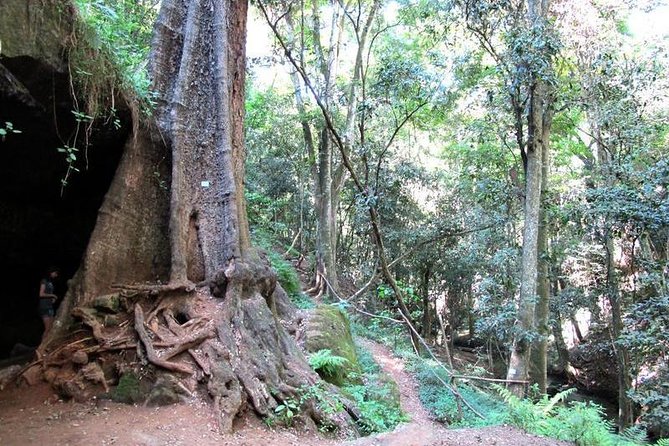 Nairobi Day Tour to Karura Forest Hike, Trail Bike & Nature Walk - Waterfalls, caves, streams, and the riparian area