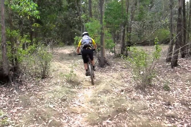 Nairobi Day Tour to Karura Forest Hike, Trail Bike & Nature Walk - What the guide adds to the forest experience