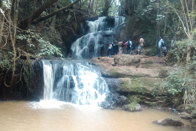 Nairobi Day Tour to Karura Forest Hike, Trail Bike & Nature Walk - Picnic benches and the missing lunch