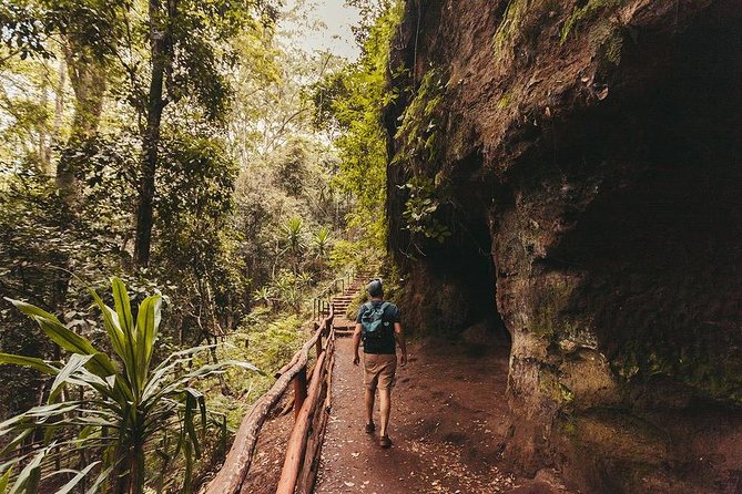 Nairobi Day Tour to Karura Forest Hike, Trail Bike & Nature Walk - Choosing between the 5, 10, and 15-kilometer walking routes