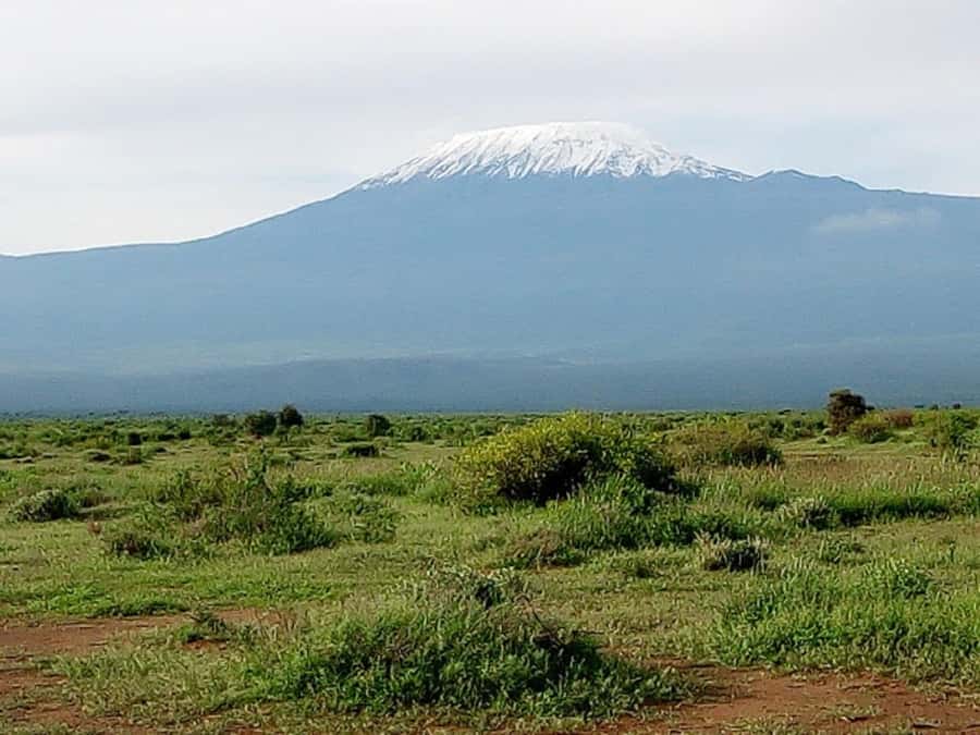 Nairobi: Day Trip to Amboseli National Park - Key points to know before booking