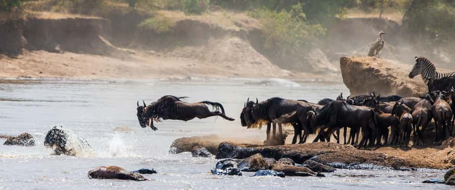 Nairobi: Day Trip to Maasai Mara Reserve & Maasai village - What to bring and how to prepare