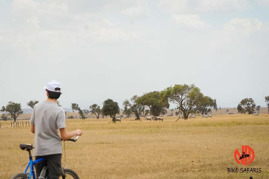 Nairobi: E-Bike/Cycling Wildlife Safari with Transfer & meal - Key points to know before you book