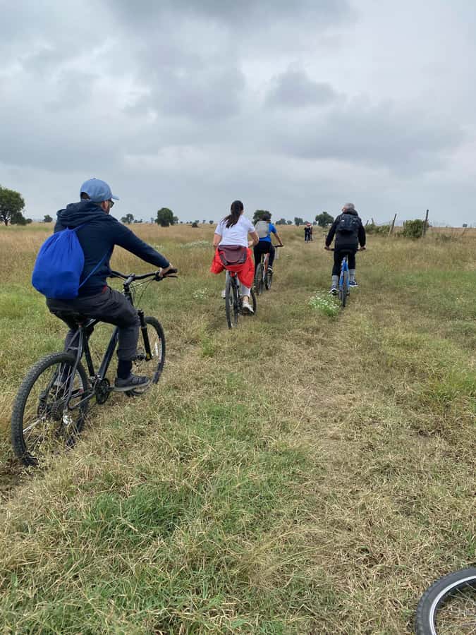 Nairobi: E-Bike/Cycling Wildlife Safari with Transfer & meal - Choosing between an e-bike and a bicycle